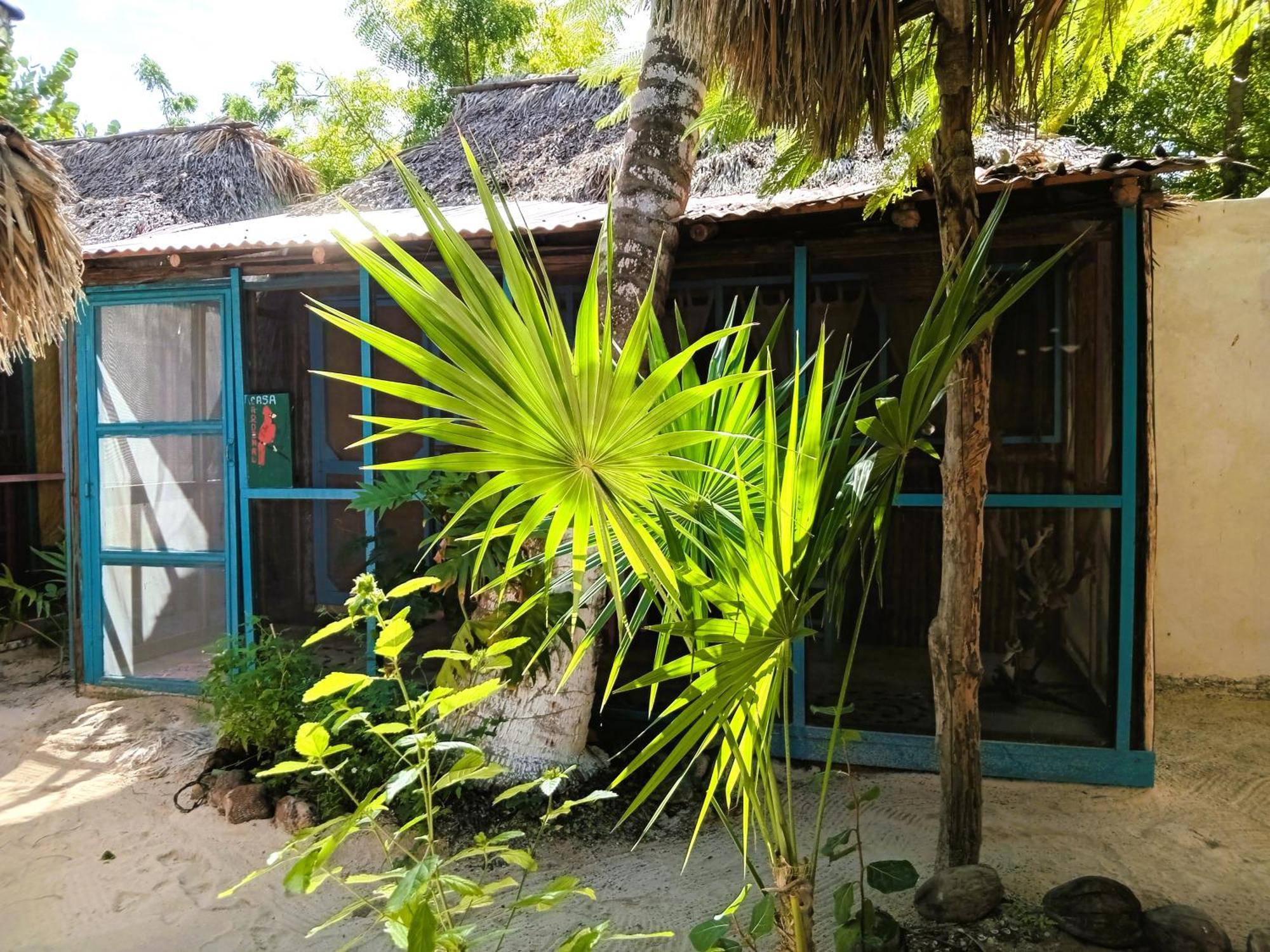 Casa Jade Ecobungalows Las Coloradas Yuluc エクステリア 写真