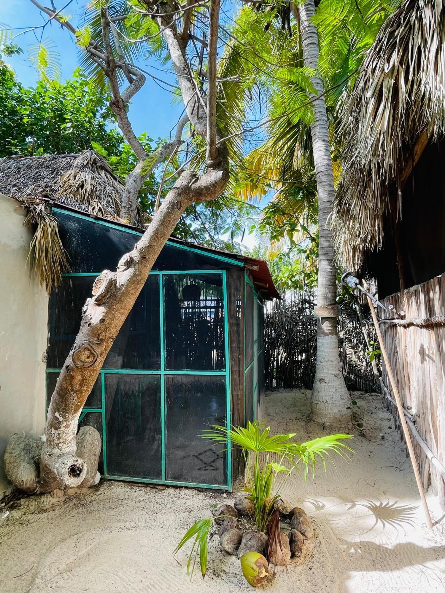 Casa Jade Ecobungalows Las Coloradas Yuluc 部屋 写真