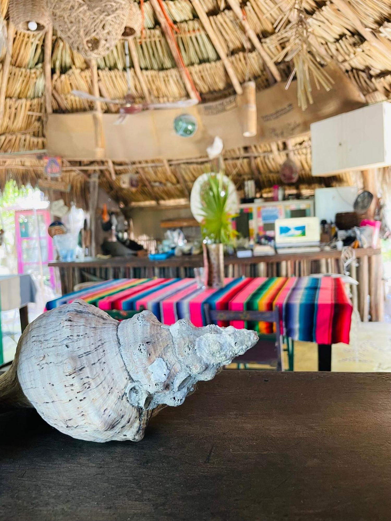 Casa Jade Ecobungalows Las Coloradas Yuluc エクステリア 写真