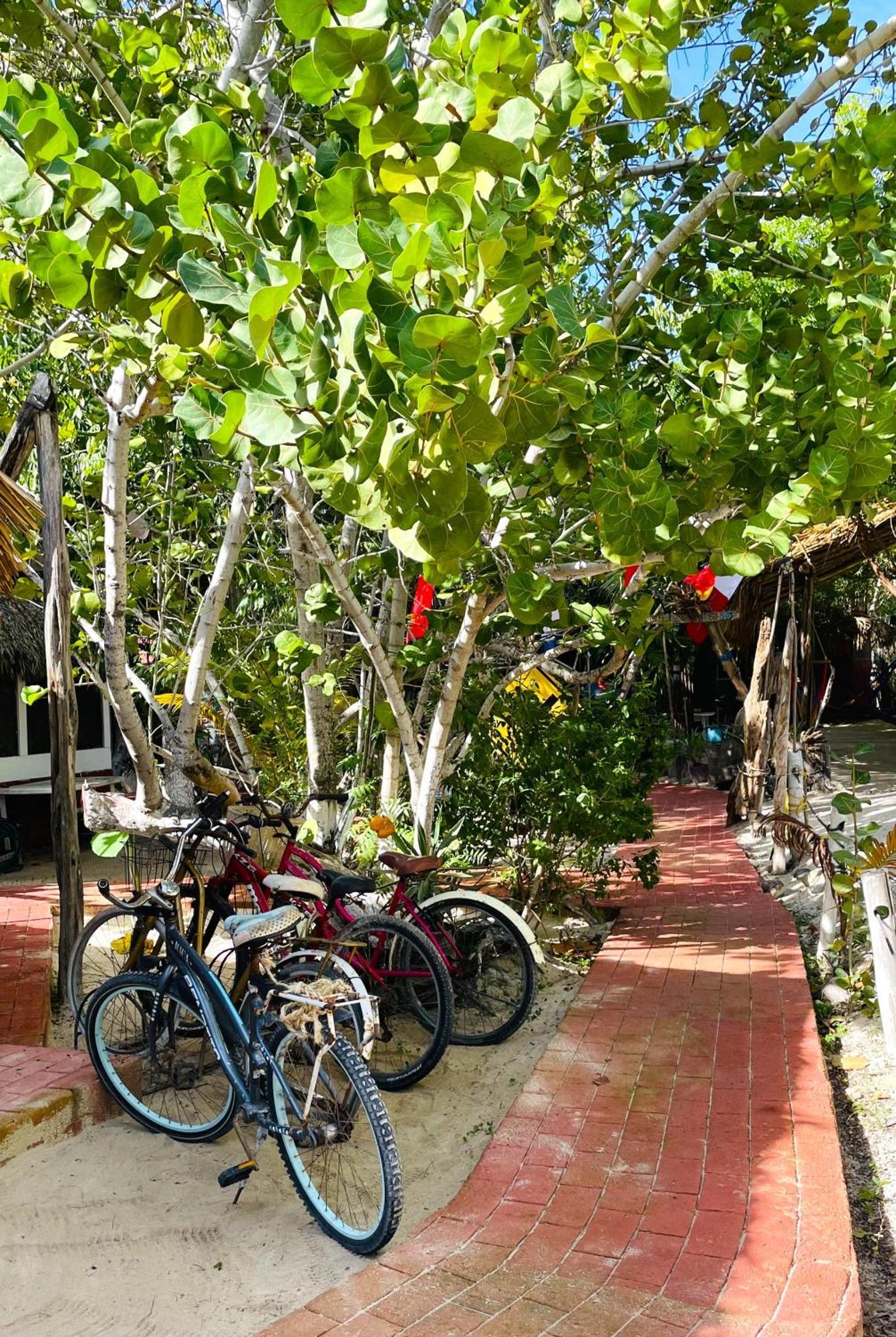 Casa Jade Ecobungalows Las Coloradas Yuluc エクステリア 写真